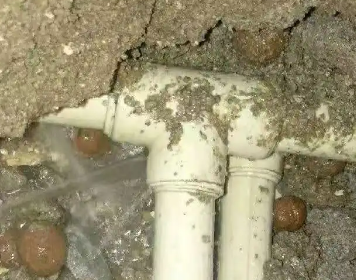 紫金测漏水多少钱