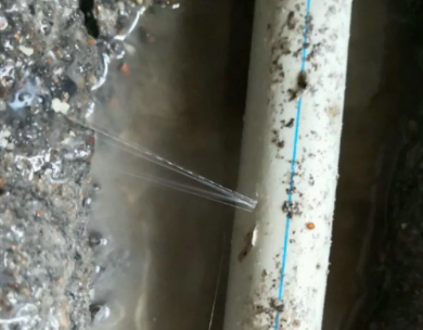 紫金测漏水哪家好