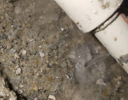 紫金测漏水电话号码