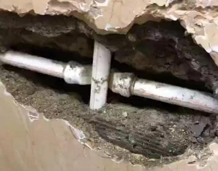 紫金测漏水哪家好