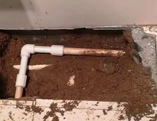 紫金测漏水哪家好