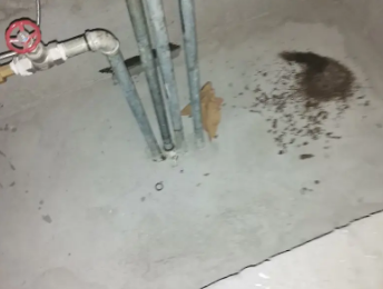 紫金卫生间测漏水价格明细