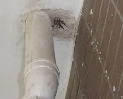 紫金漏水检测哪家好